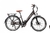 Bicicleta Elétrica RioSouth New Daily - Voltage Bikes - Bike Shop