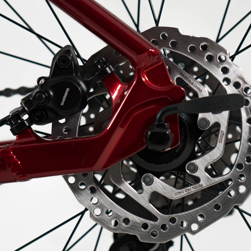 Bicicleta Rava Rakan 16v 2025 na internet