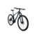 Imagem do Bicicleta Rava Up 2025